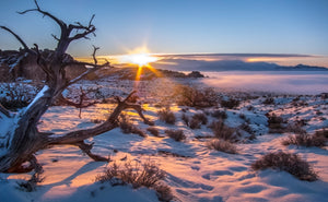 Arches National Park  Foggy Sunrise