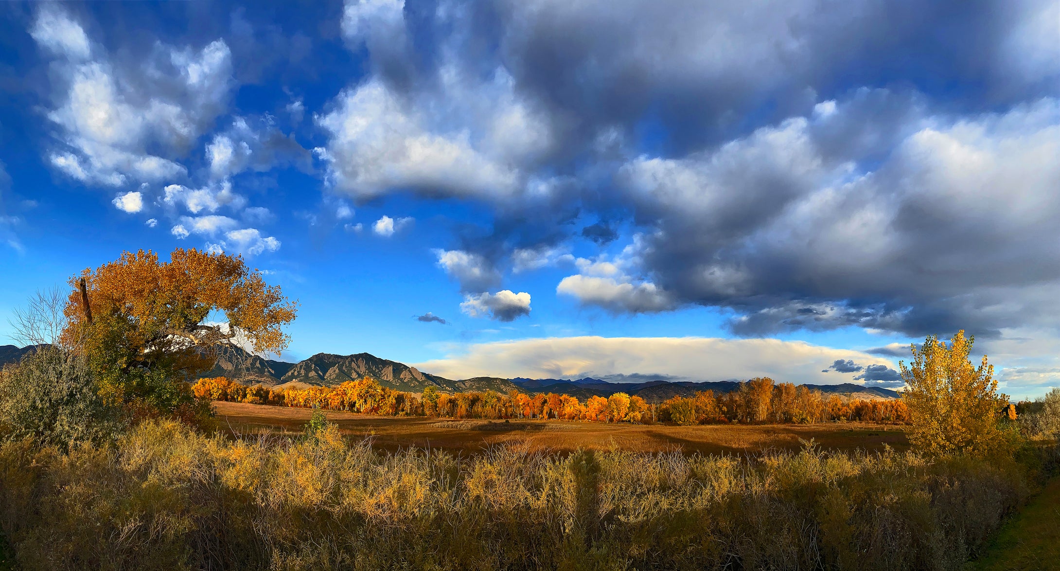 Boulder Flatirons Fall Colors