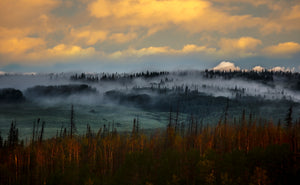 Burn Zone Sunrise  Flat Tops Wilderness Colorado