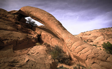 Cobra Arch   Paria Plateau   Arizona