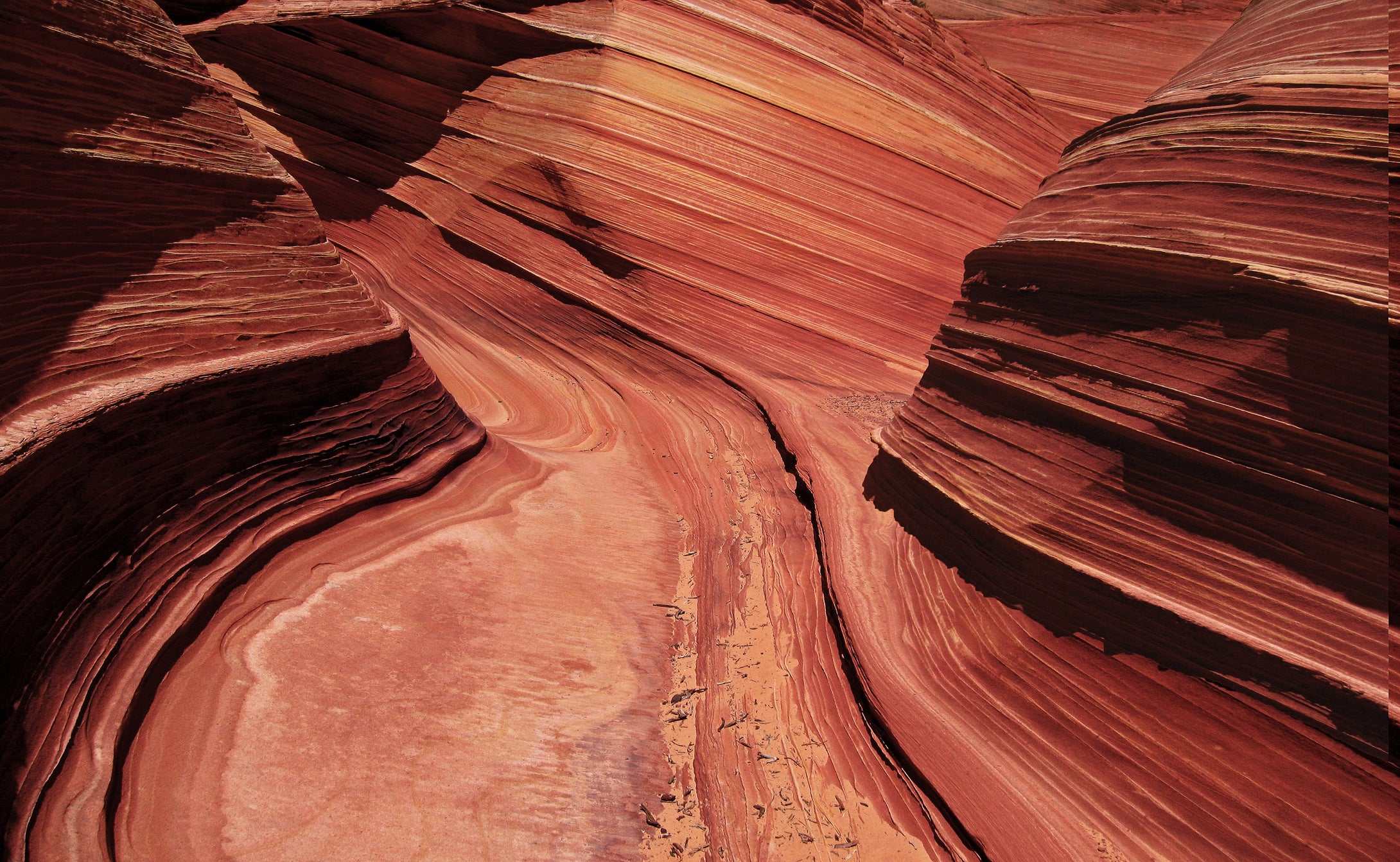 Coyote Buttes  Ancient Sand Dunes