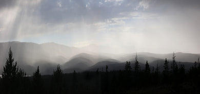 Dancing Rain Shadows