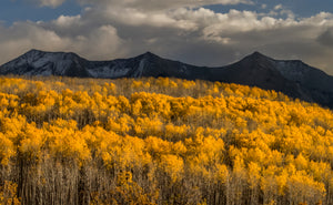 East Beckwith Mountain  Sunset Glow