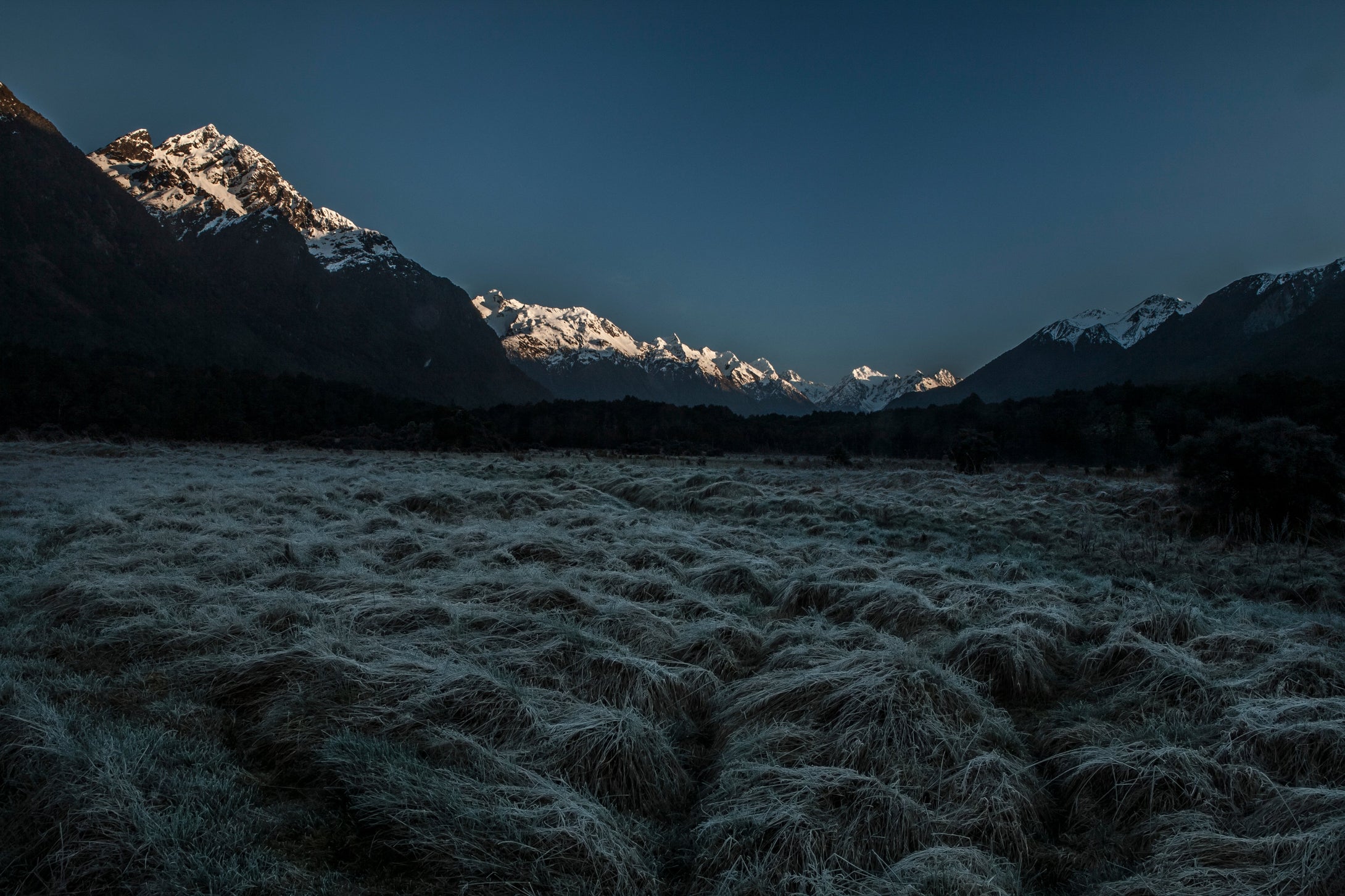 Snow Capped Peaks of Hollyford Valley   Southern Alps   New Zealand