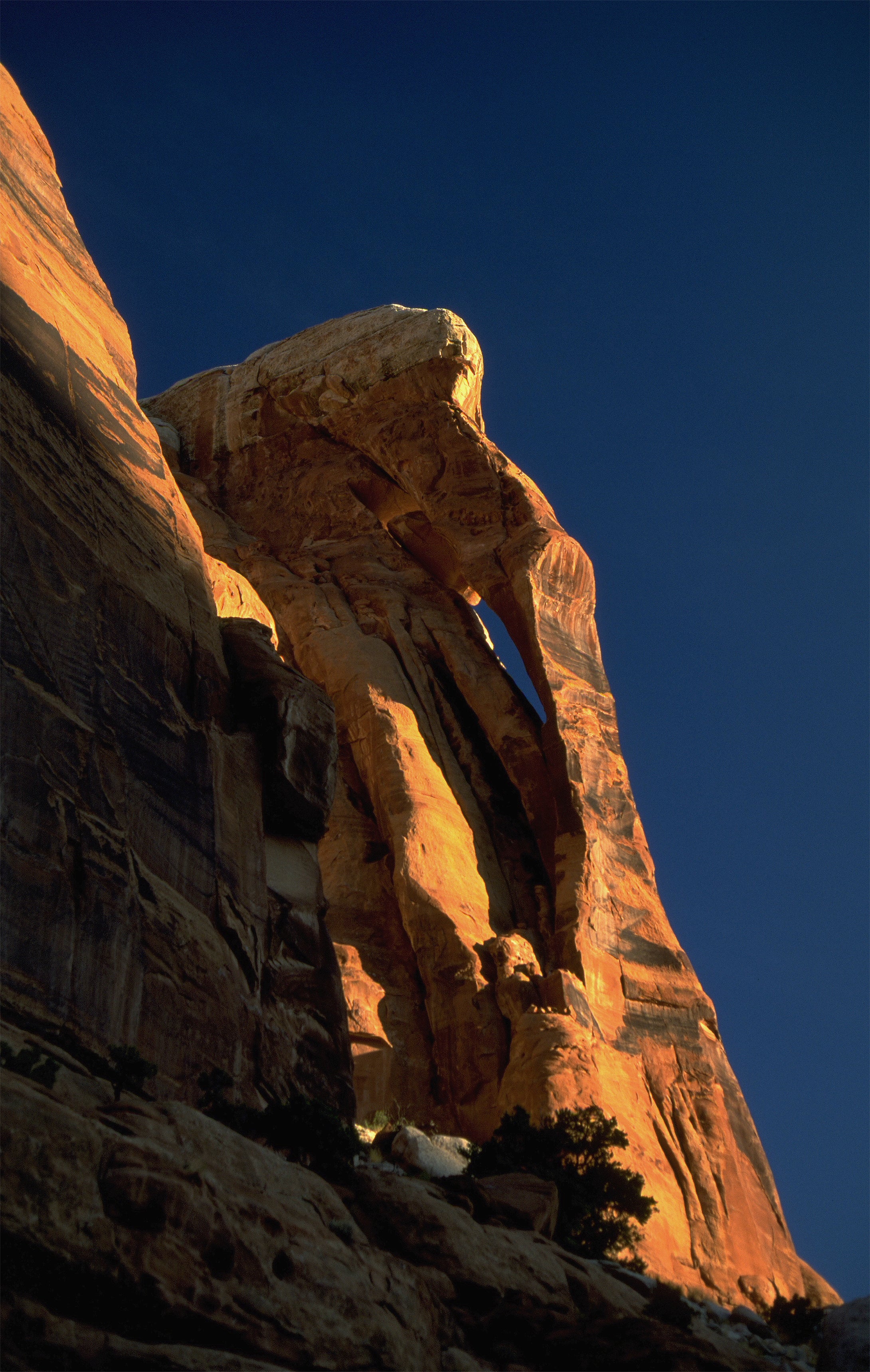 Jug Handle Arch Four Arch Canyon Utah