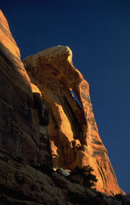 Jug Handle Arch Four Arch Canyon Utah