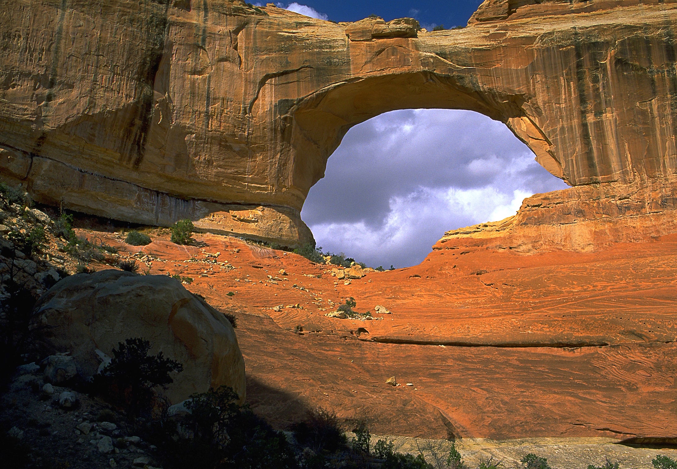 Kirk Arch  Salt Creek  Canyonlands Utah