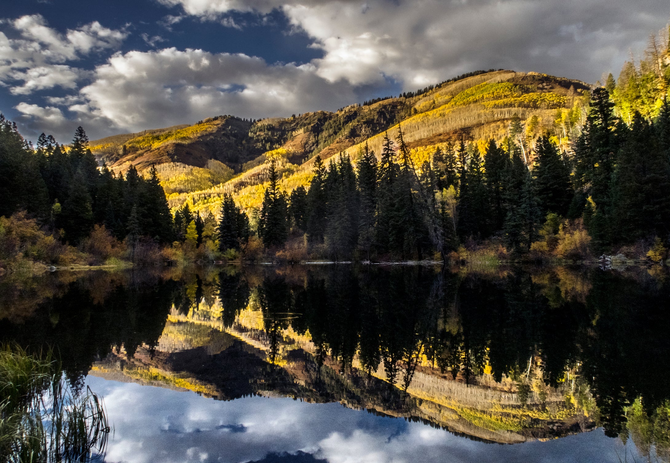 Lizard Lake Fall Colors