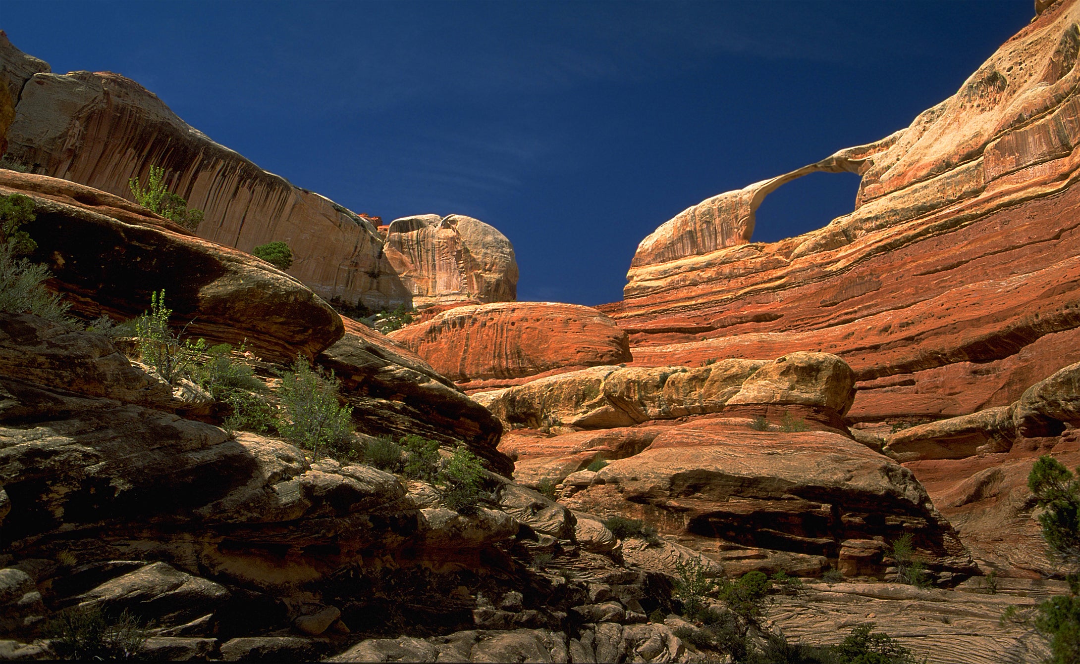 Majestic Castle Arch  Needles District  Canyonlands National Park