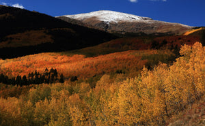 Mt. Elbert   A Tapestry Of Fall Color