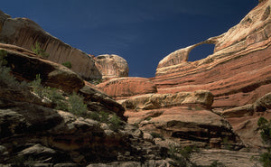 Castle Arch  Needles District  Canyonlands National Park