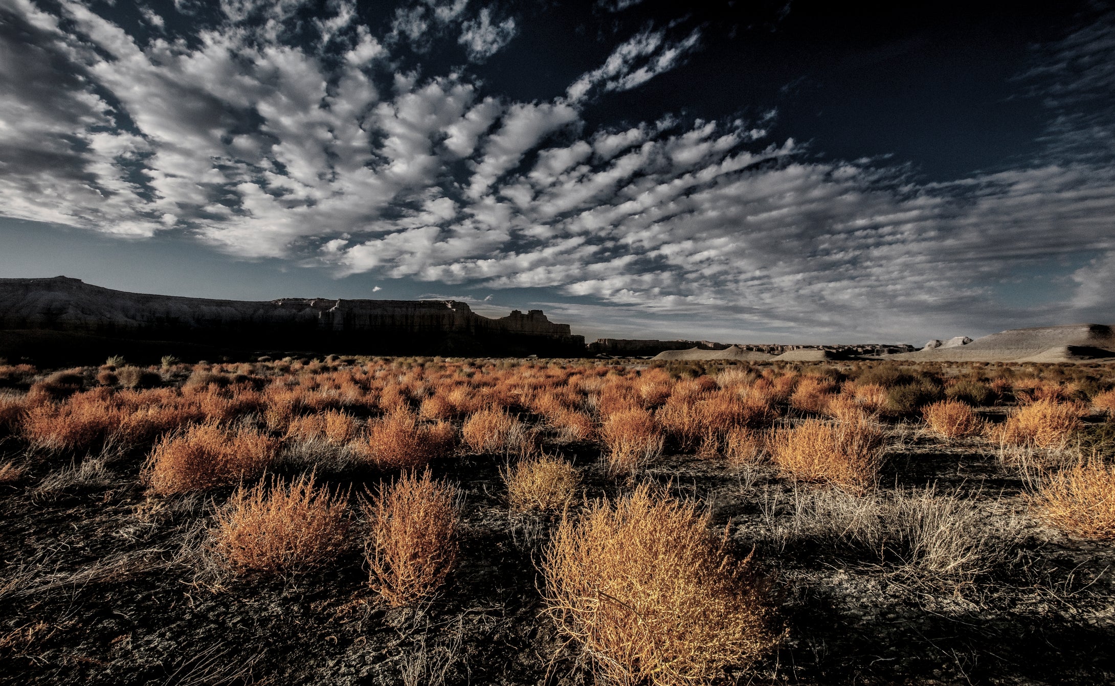 Tumble Weed Sunset      Blue Hills    Utah