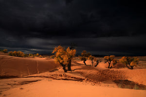 White Wash Sand Dunes  Floy  Utah