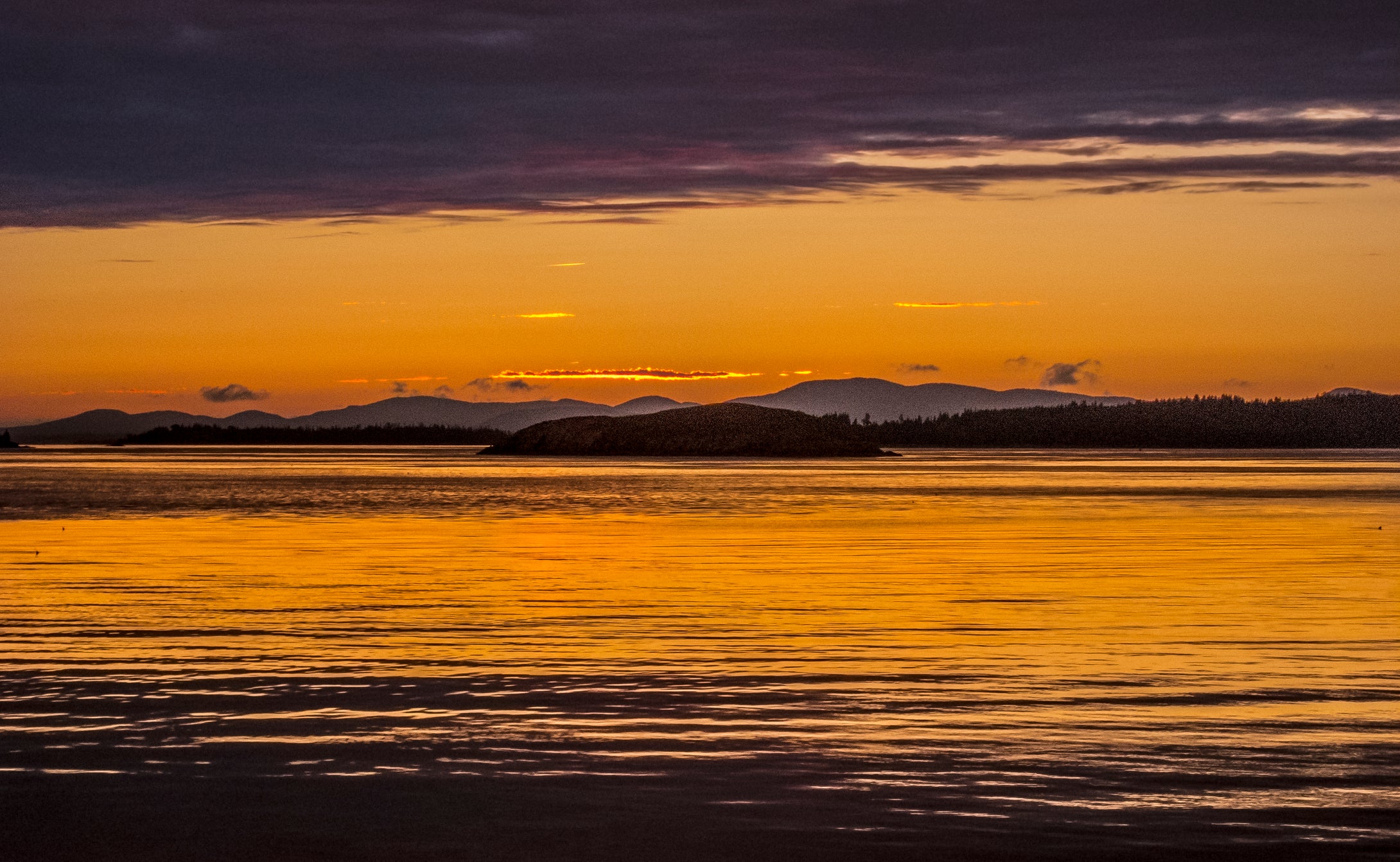 Camden Bay Deer Isle  Maine