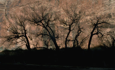 Courthouse Wash  Silent Shadows