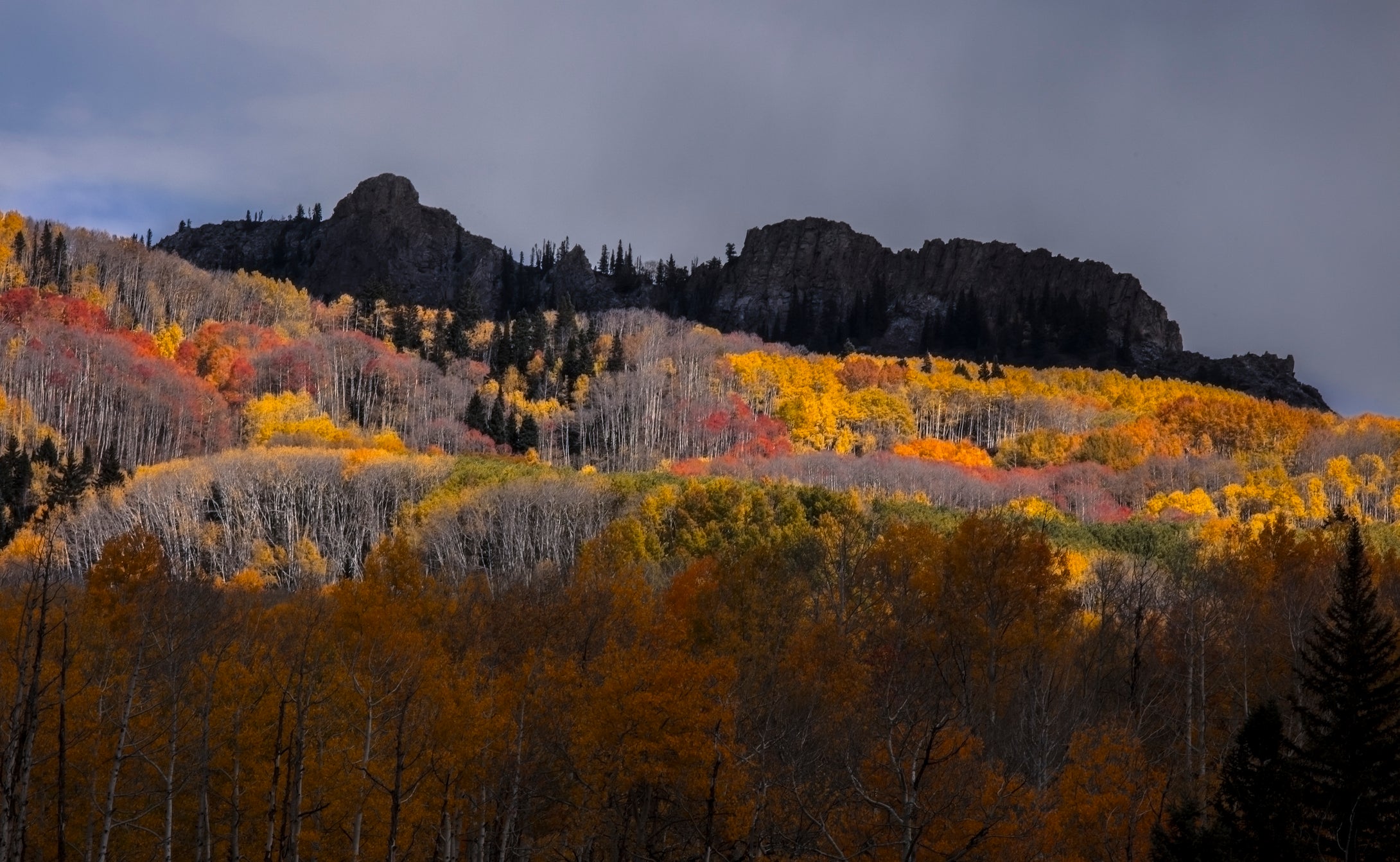 Kebler Pass  Fading Colors