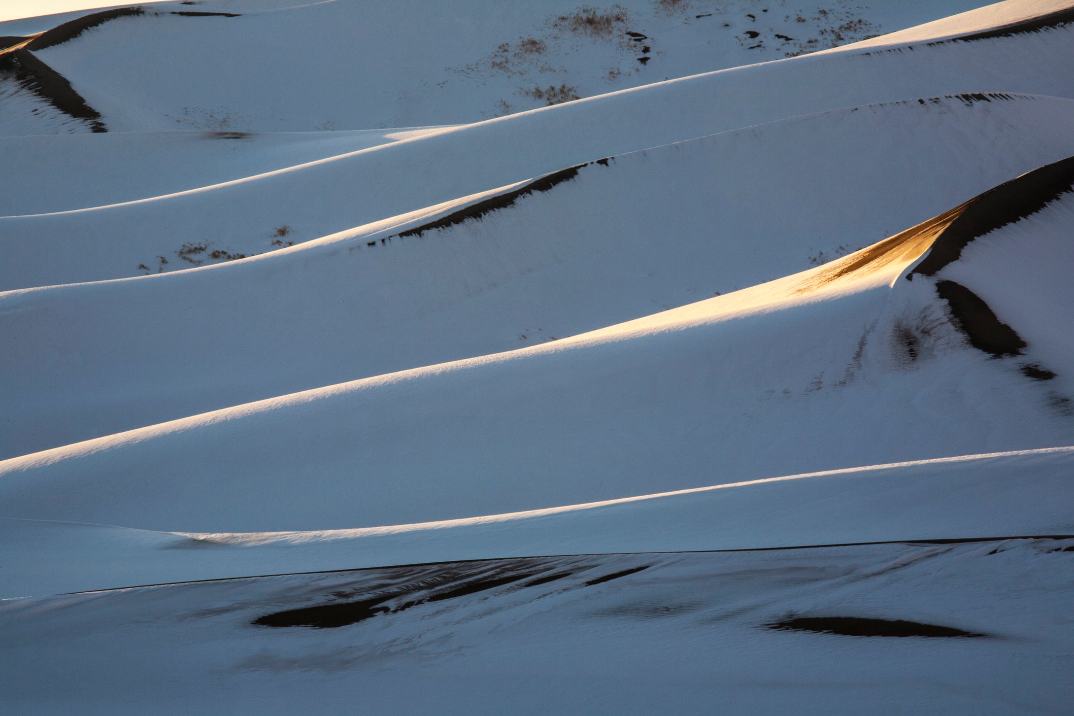 Shadowy Snowscape  The Sand Dunes National Monument  Colorado