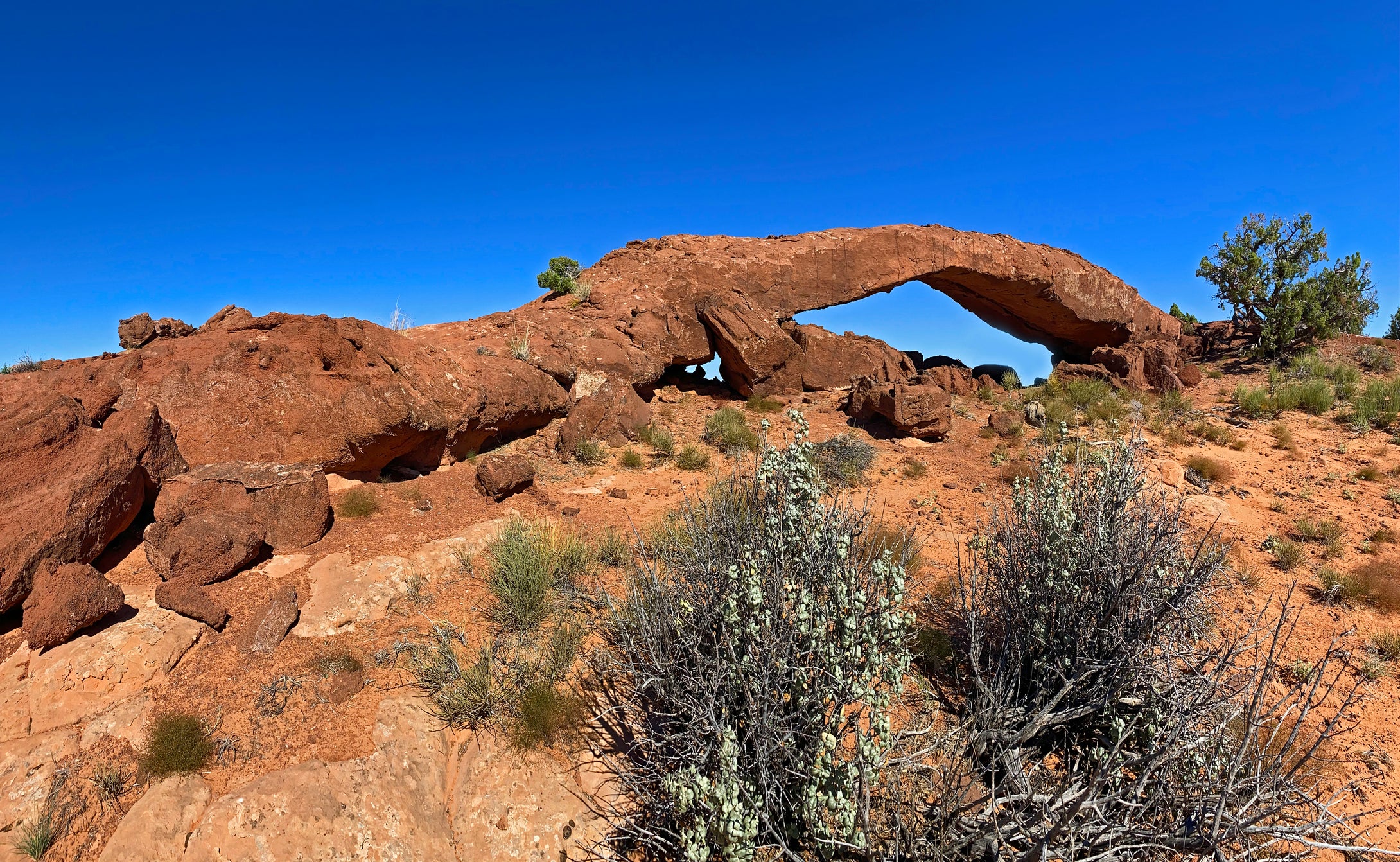 Scorpion Arch  Escalante Wilderness Utah