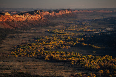 The Comb Ridge  Fall Colors