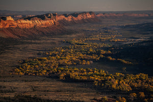 The Comb Ridge  Fall Colors