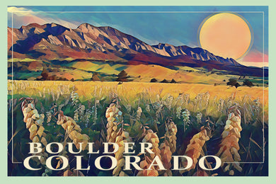 Yucca Blooms  Boulder Colorado
