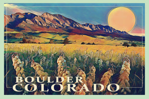 Yucca Blooms  Boulder Colorado