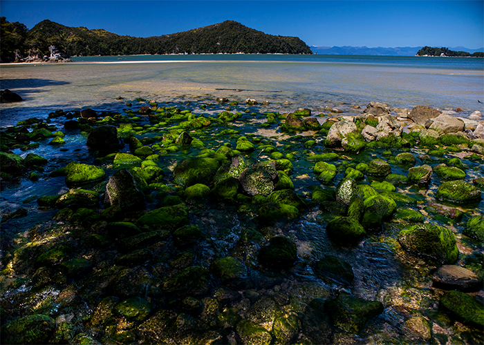 Abel Tasman National Park  South Island, New Zealand