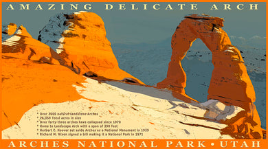 Arches National Park   Amazing Delicate Arch