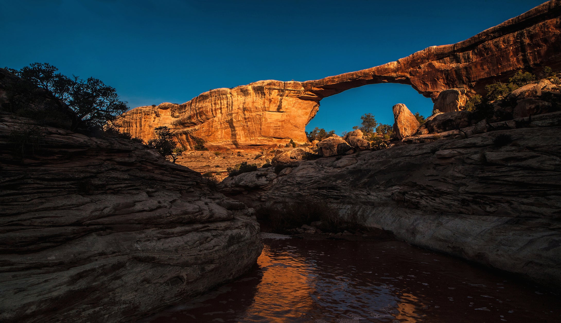 Awachomo Bridge   Natural Bridges National Monument   Utah