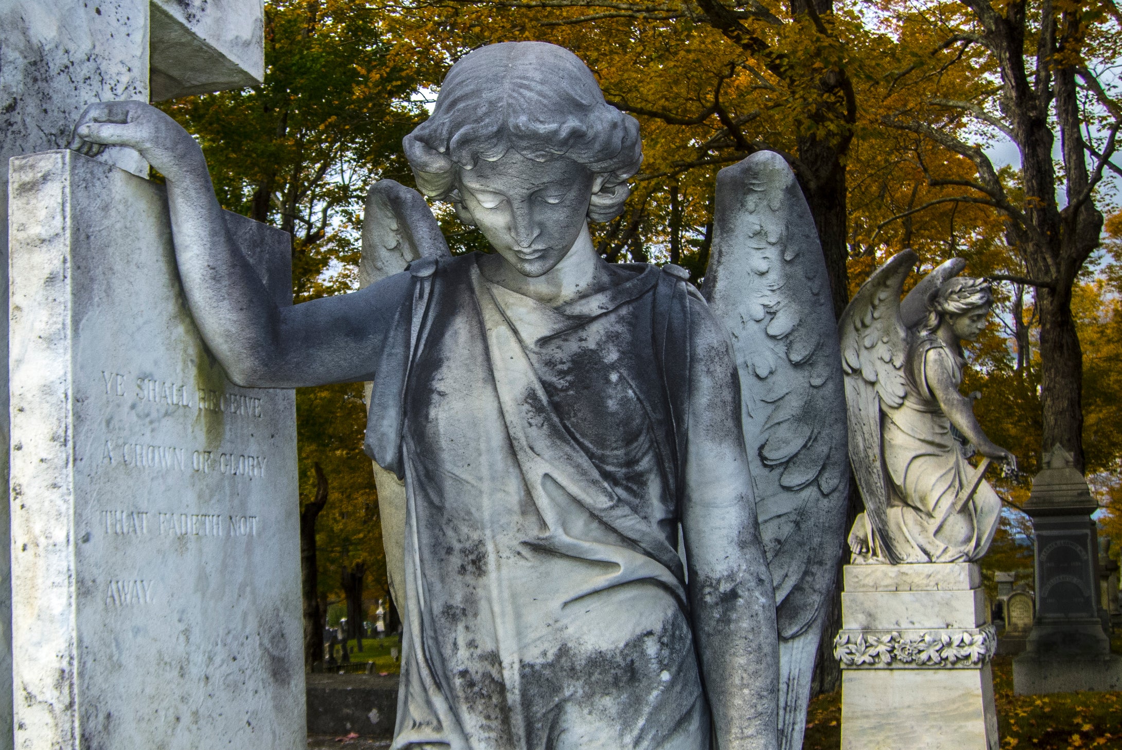 Belfast Cemetery    Angel With Wings