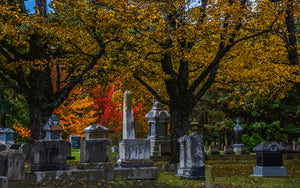 Grove Cemetery in  Belfast Maine