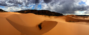 Coral Pink Sand Dunes, Southern Utah