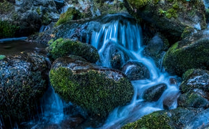 Bunch Falls Quinault Valley Washington