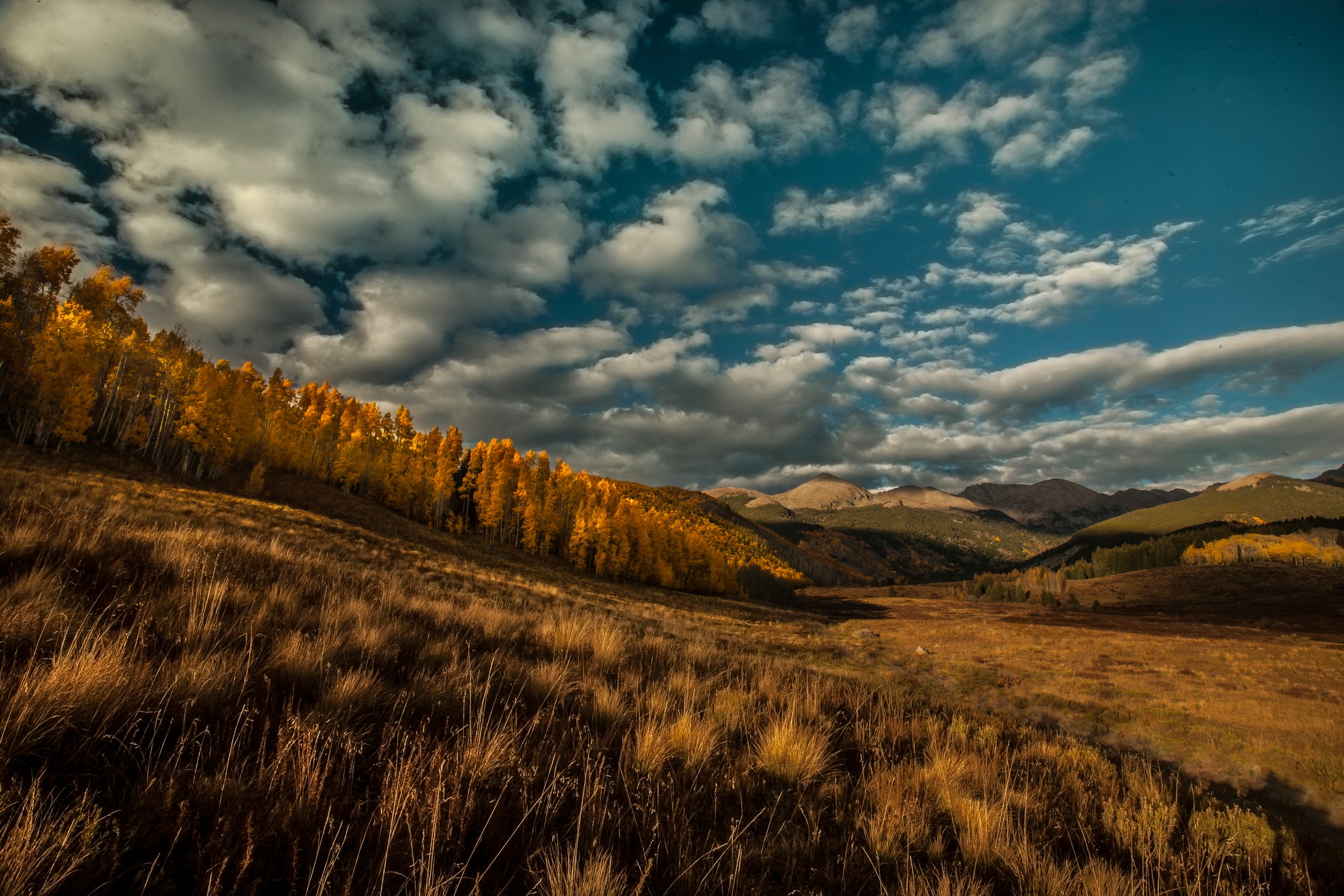 Eagle Peak, Colorado  Fall Foliage