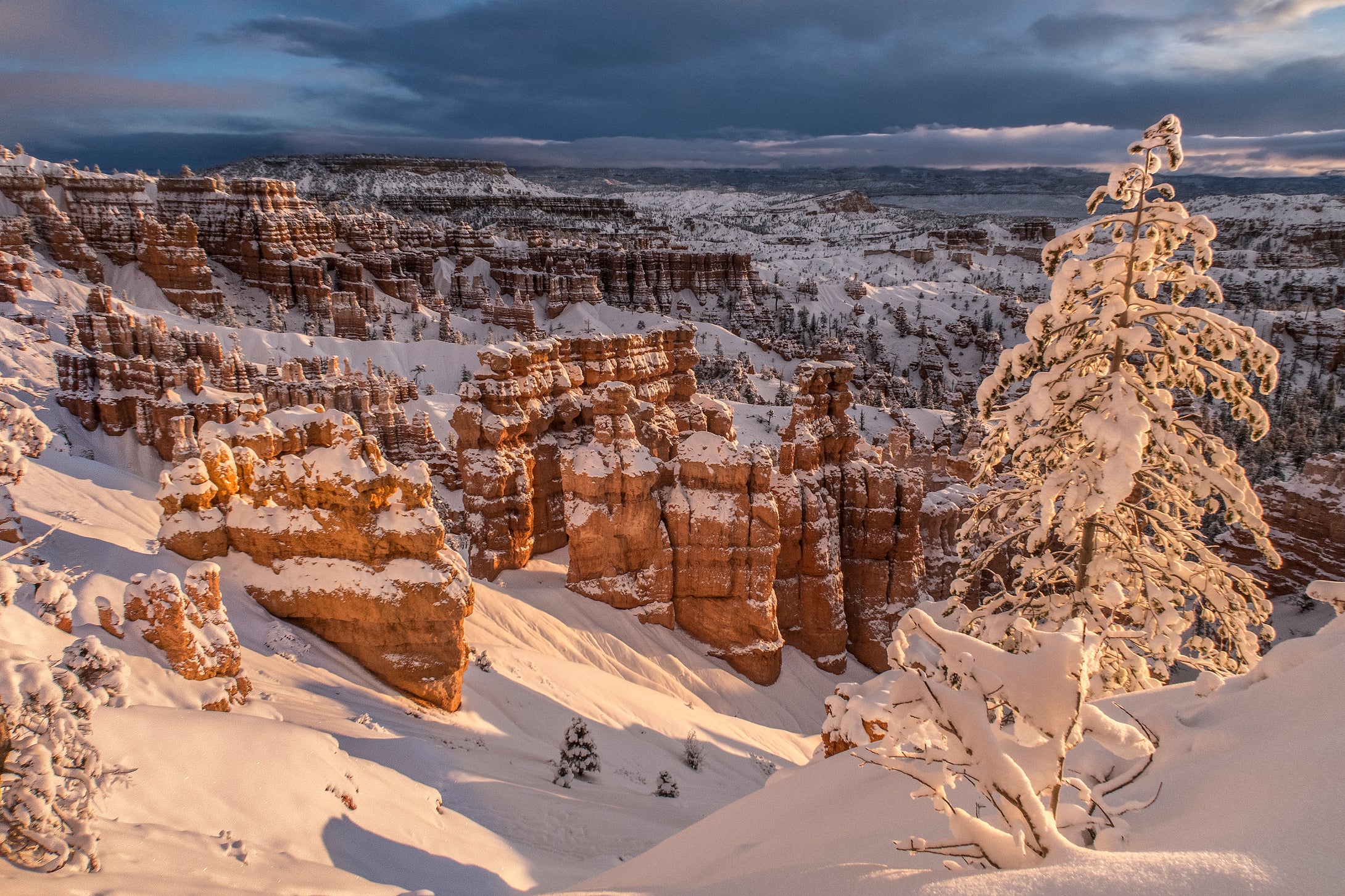 Frozen In Time    Bryce Canyon National Park