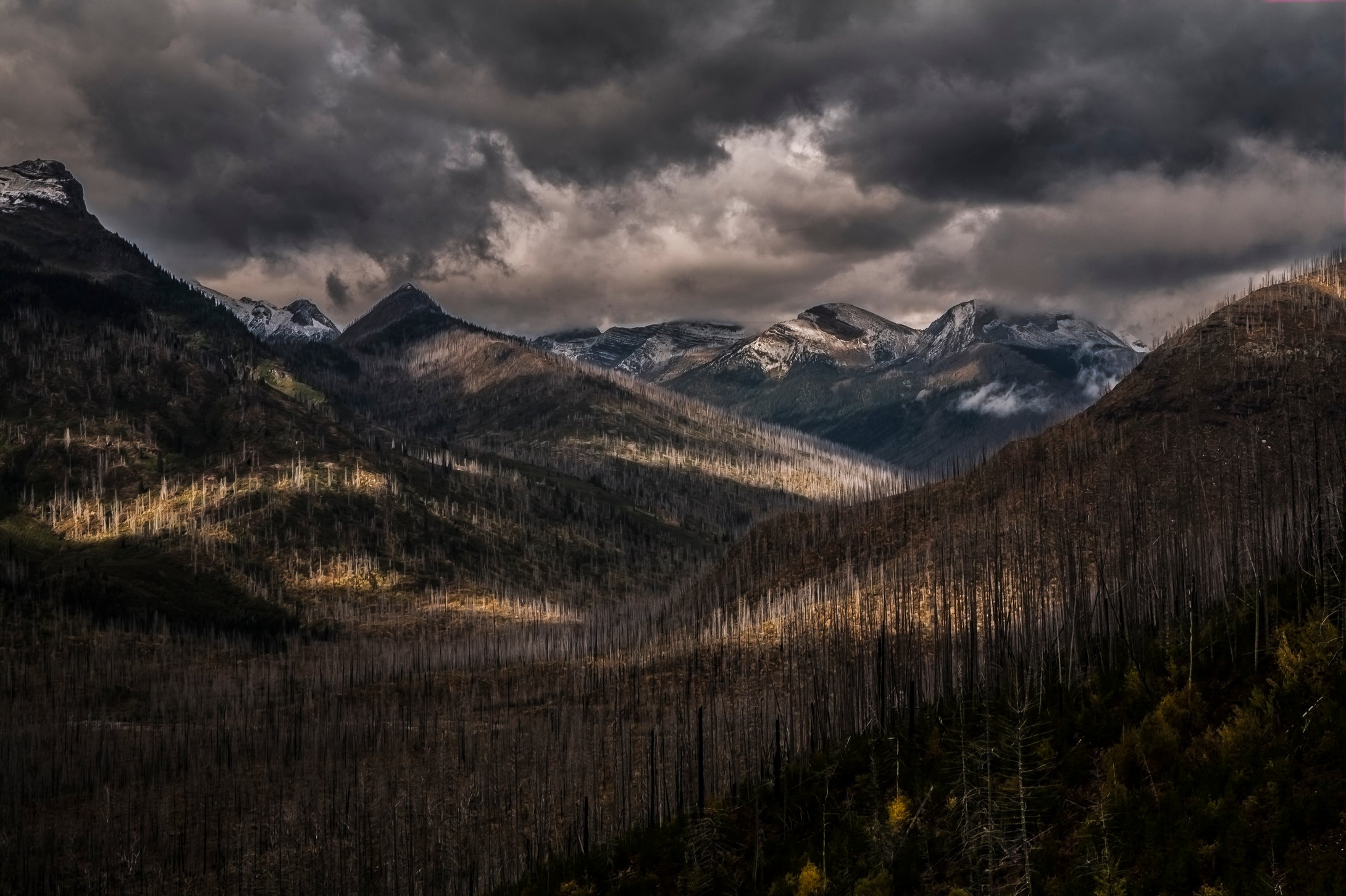 Glacier National Park  After The Big Fire