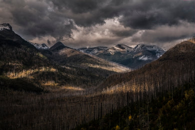 Glacier National Park  After The Big Fire