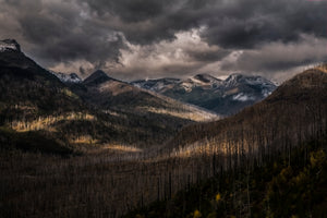 Glacier National Park  After The Big Fire