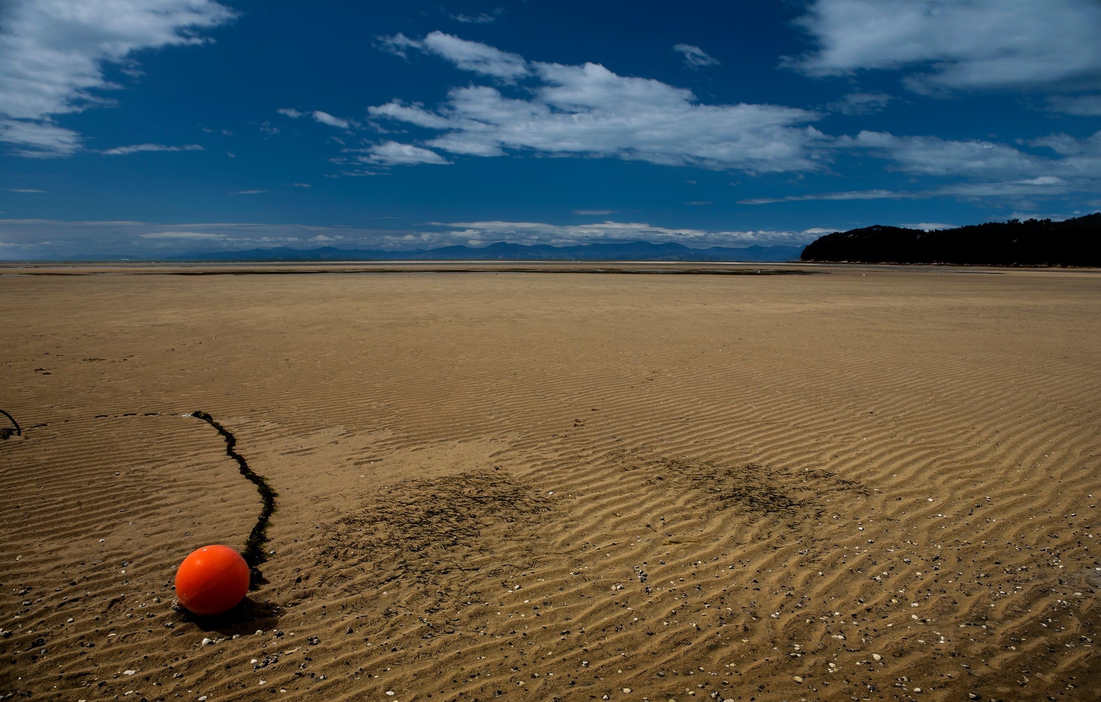 Golden Bay  Abel Tasman National Preserve  New Zealand