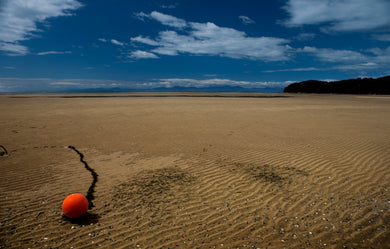 Golden Bay  Abel Tasman National Preserve  New Zealand