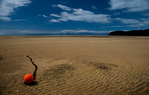 Golden Bay  Abel Tasman National Preserve  New Zealand