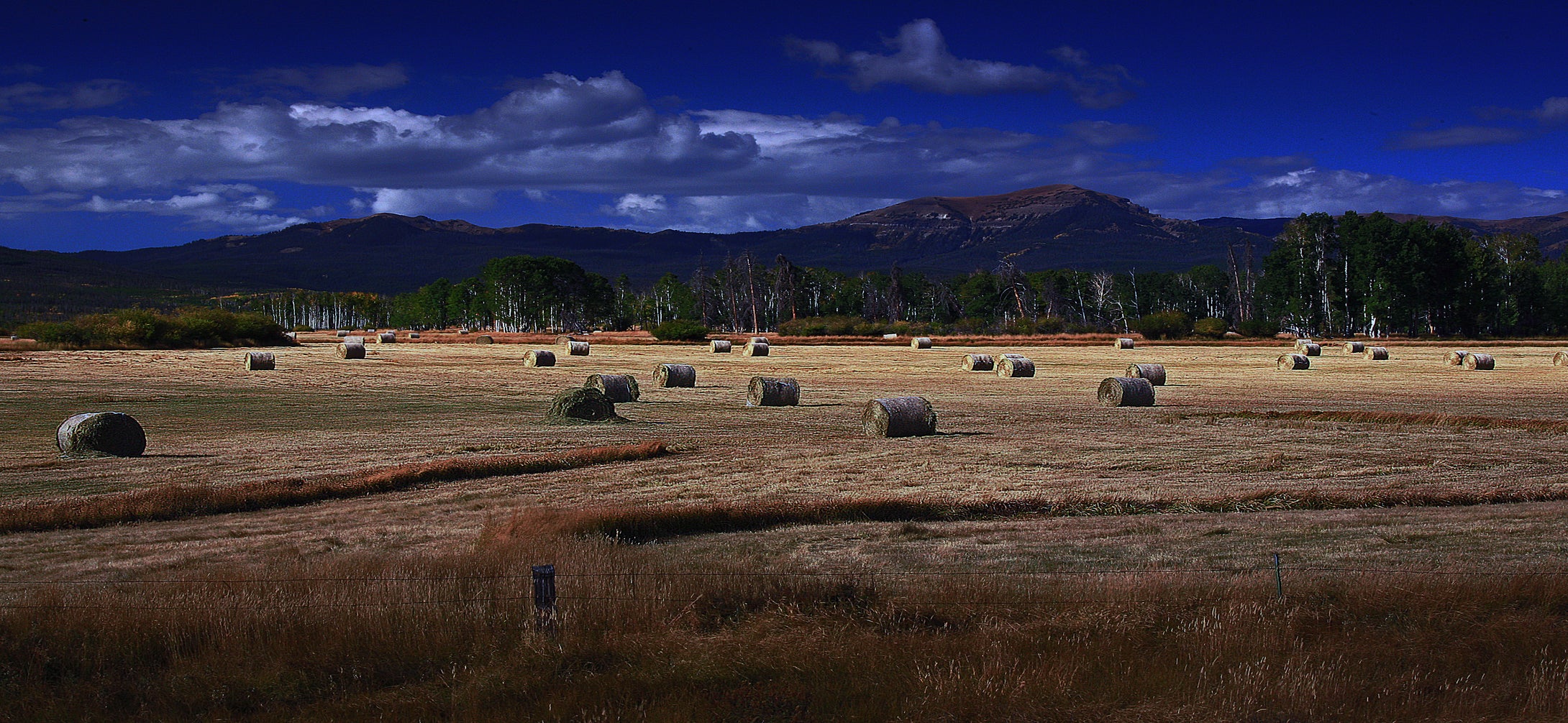 Harvest Time Walden Colorado