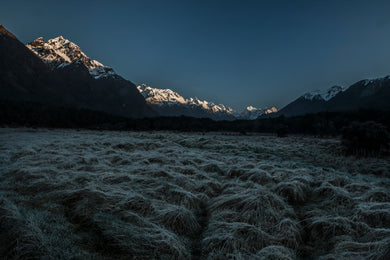 Hollyford Valley   Southern Alps   New Zealand