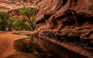 Horseshoe Canyon Reflections Utah