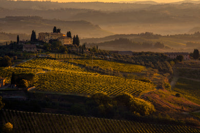 Italian Chateau  Sienna Wine Country
