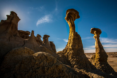 Bisti Badlands  Marching Men