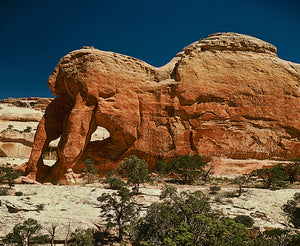 Mastadon Arch       Salt Creek  Canyonlands Utah