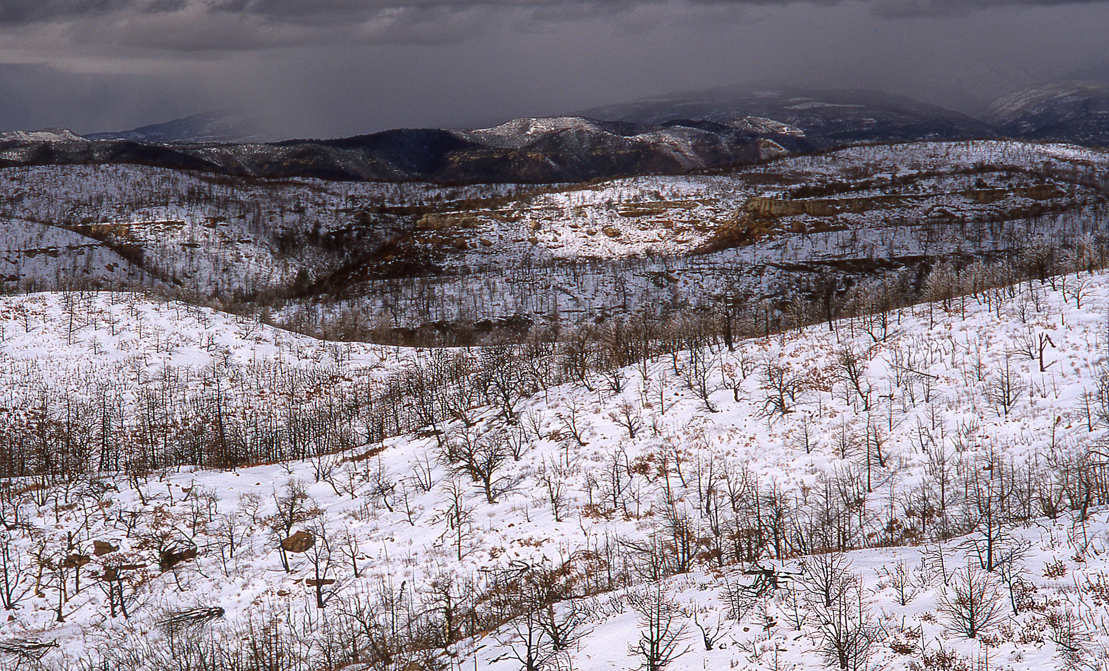 Mesa Verde National Park  Snowscape