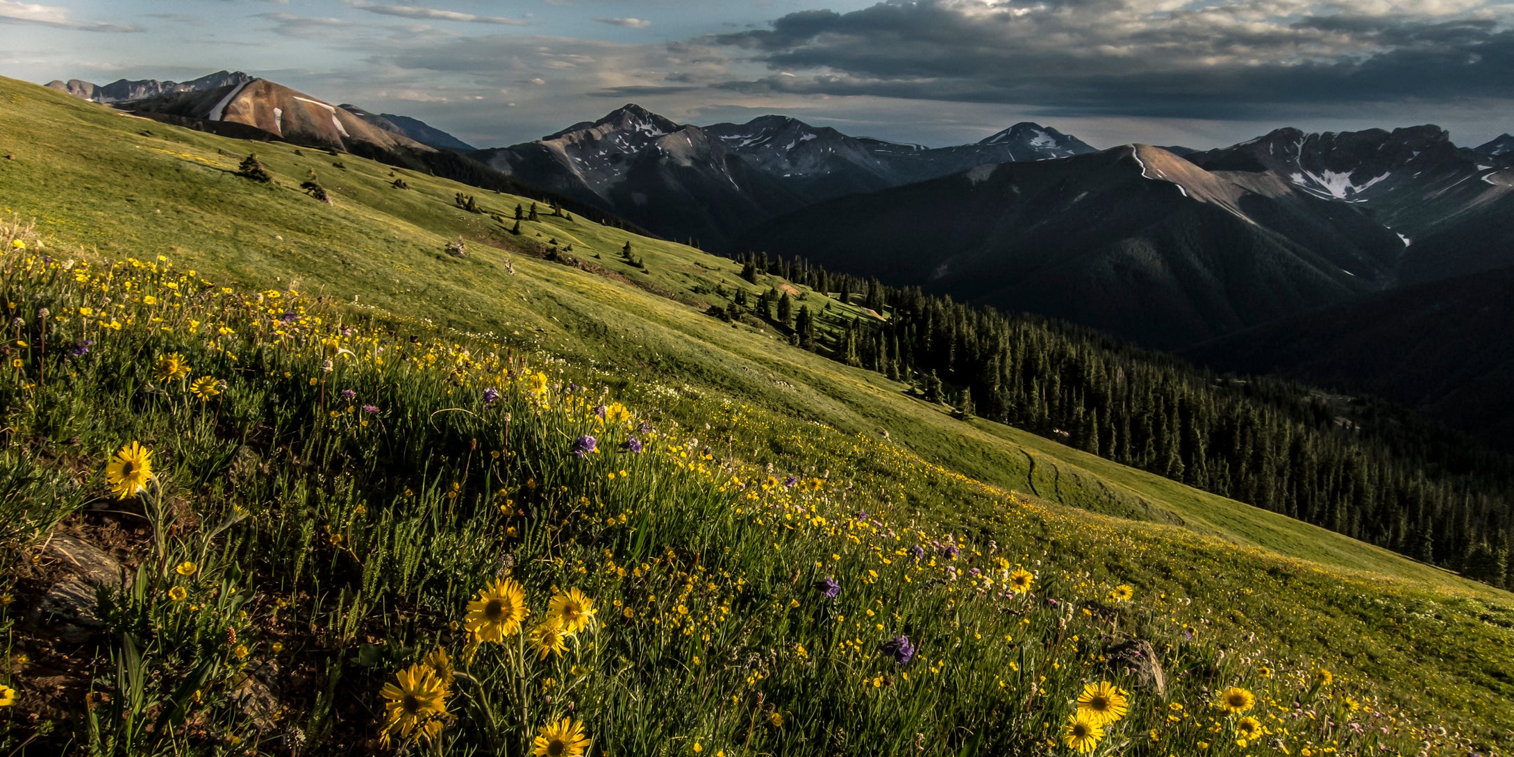 Bear Mountain   Molas Pass