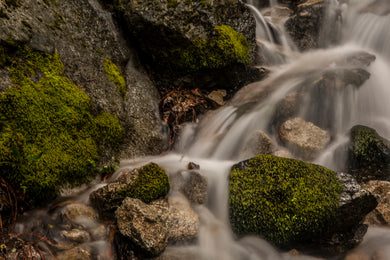 Moss Rock Waterfall  Yosemite National Park